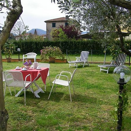 Triolivo B&B Lucques Extérieur photo
