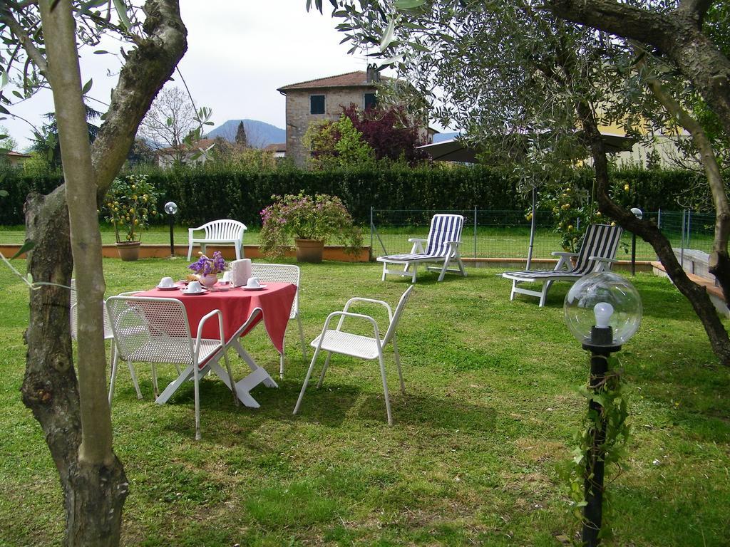 Triolivo B&B Lucques Extérieur photo