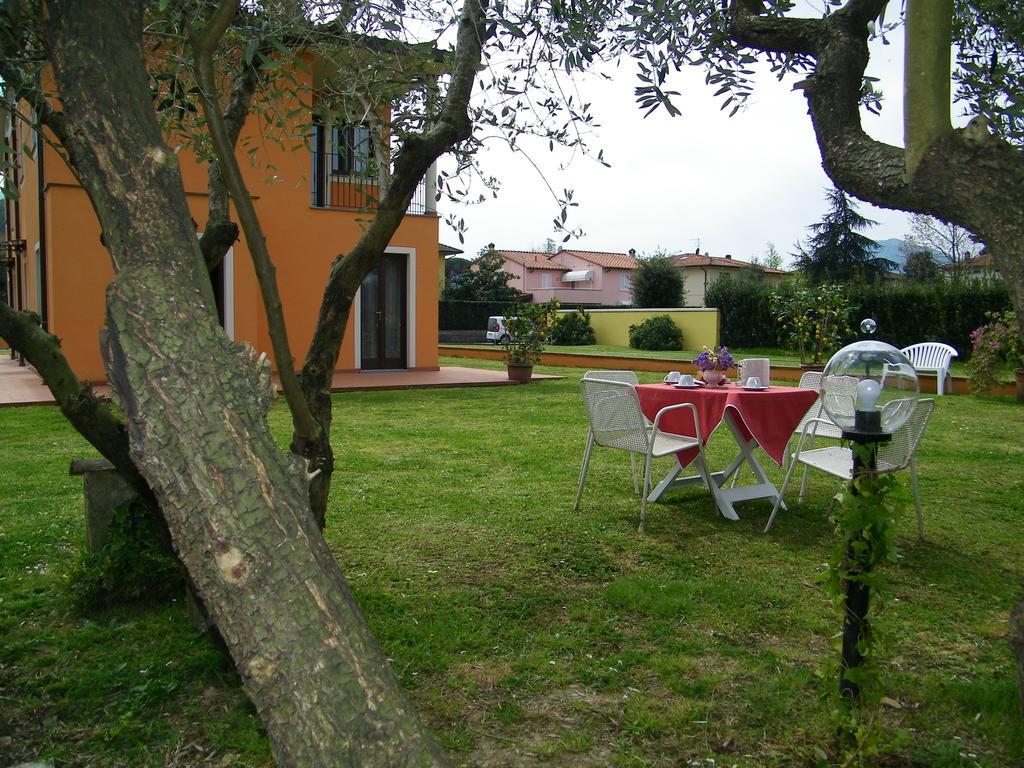Triolivo B&B Lucques Extérieur photo