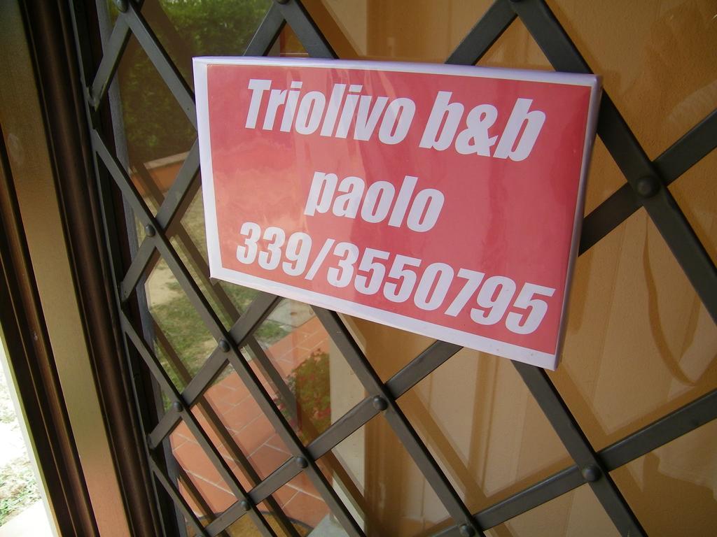 Triolivo B&B Lucques Extérieur photo